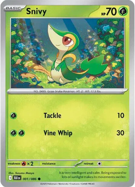 Snivy - 001/086 - Miscellaneous