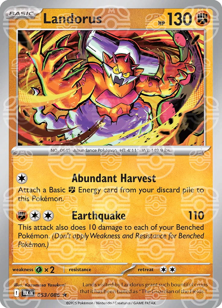 Landorus - 053/086 - Black Bolt