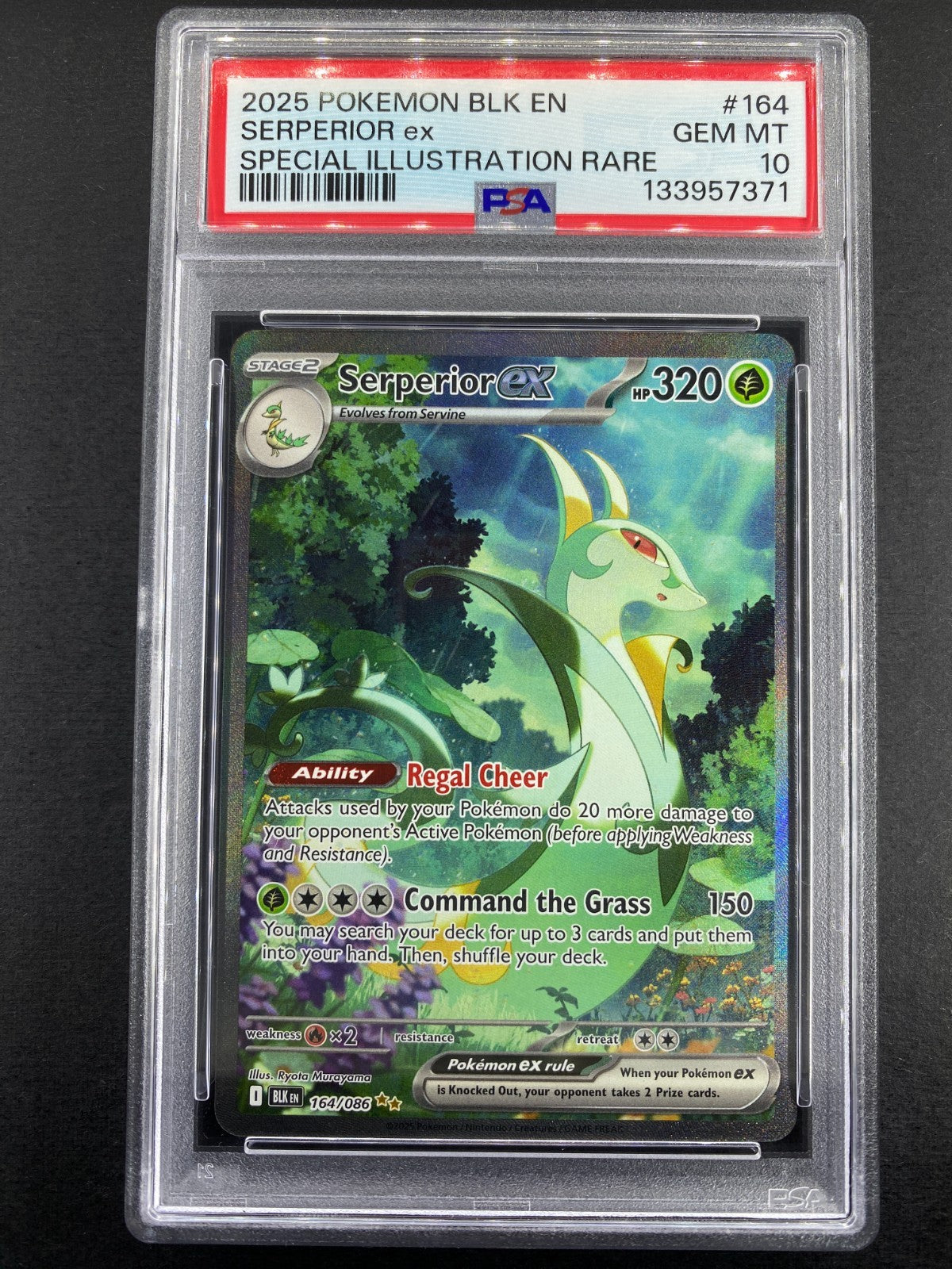 PSA10 ディンルーex sar PSA10鑑定済〕ディンルーex【SAR】{094/071}