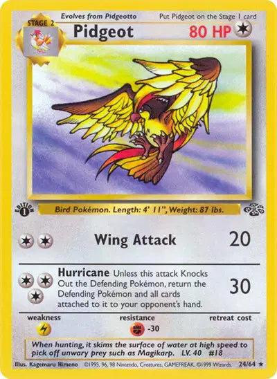 Pidgeot - 24/64 - 1st Edition - Jungle
