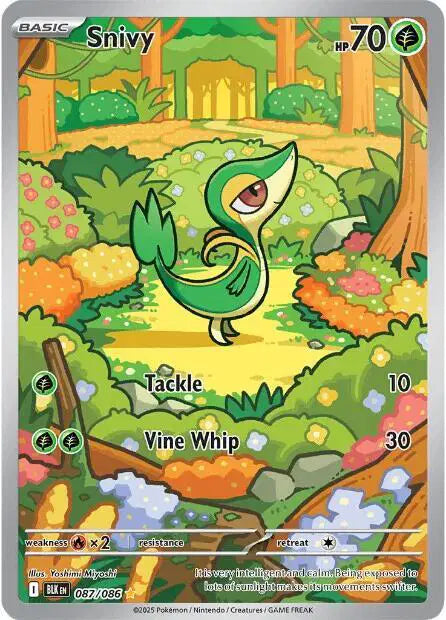 Snivy - 087/086 - Black Bolt