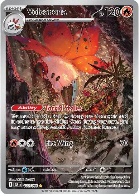 Volcarona - 100/086 - Black Bolt