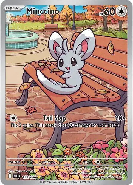 Minccino - 152/086 - Black Bolt