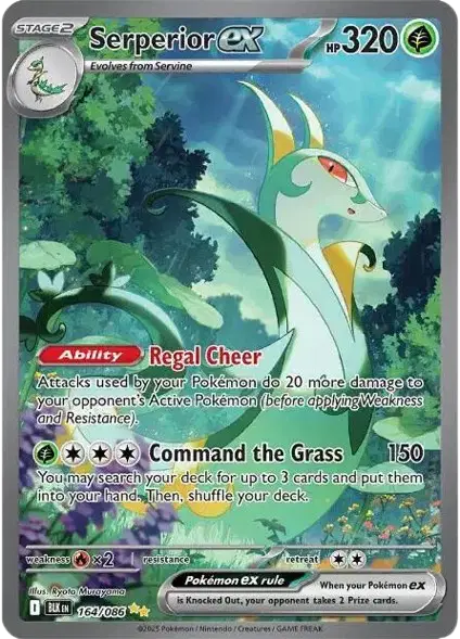 Serperior ex - 164/086 - Black Bolt