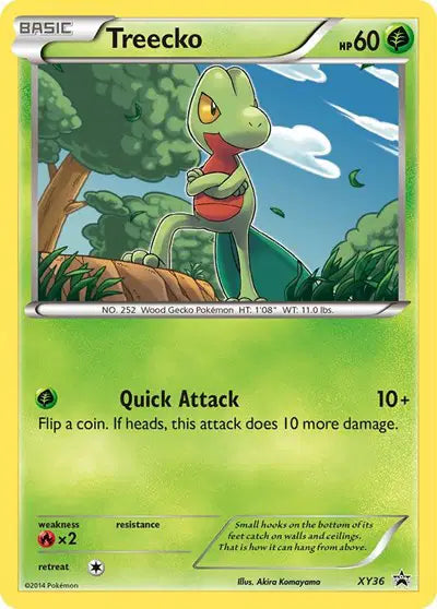 Treecko - XY36 - XY Promo