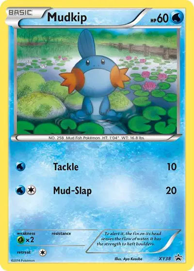 Mudkip - XY38 - XY Promo